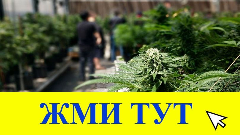 Купить наркотики в Топках